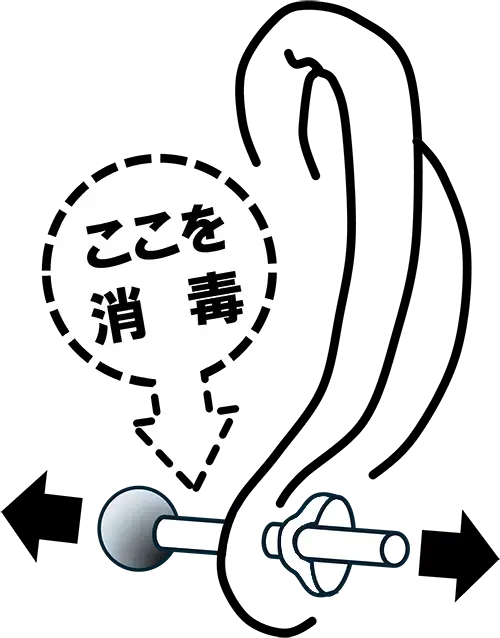 図：左耳 手入れの例